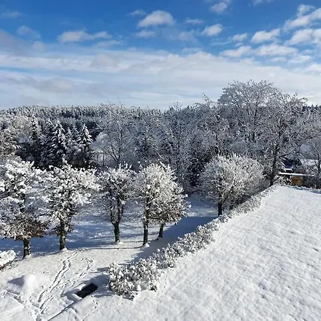 Apartament Black Forest Bergliebe Pool Terrasse Ruhe Komfort *