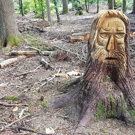 Apartament Black Forest Bergliebe Pool Terrasse Ruhe Komfort