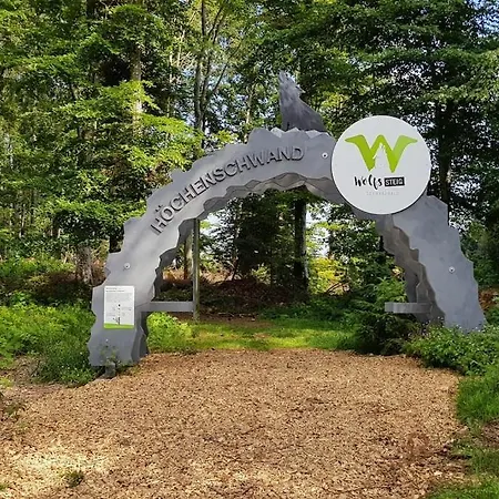 Apartament Black Forest Bergliebe Pool Terrasse Ruhe Komfort Höchenschwand